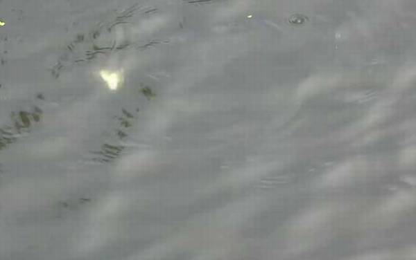 初秋下雨天气钓鱼好钓吗?