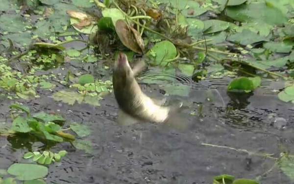 ���µ���ʲôʱ����ã�