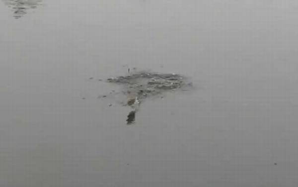 ʮ�µ������ʱ����ʲôʱ��