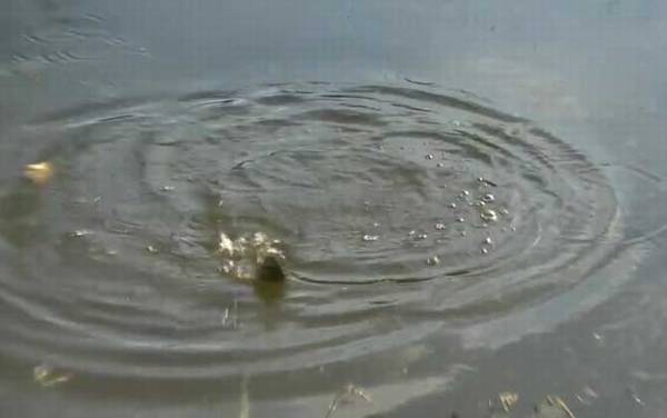 ʮ�µ������ʱ����ʲôʱ��