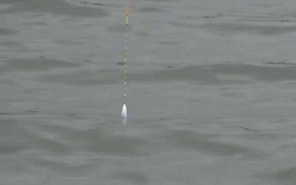 初冬钓鱼最佳时间是什么时候?