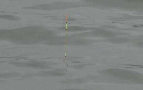 初冬钓鱼最佳时间是什么时候?