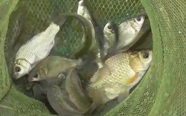 �紺ˮ���������㣿