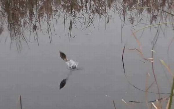 �紺������ôѡ��λ��