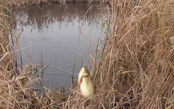 �紺������ôѡ��λ��