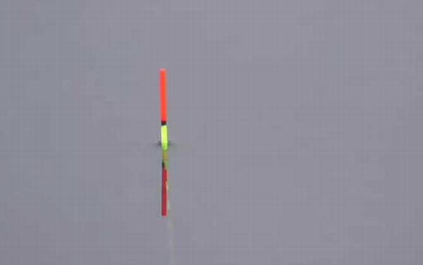 早春钓鱼最佳时间是什么时候?