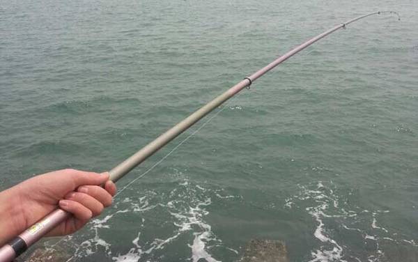 海钓技巧和方法大全