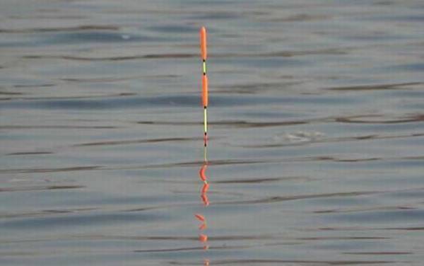 台钓鲫鱼怎么看吃漂?