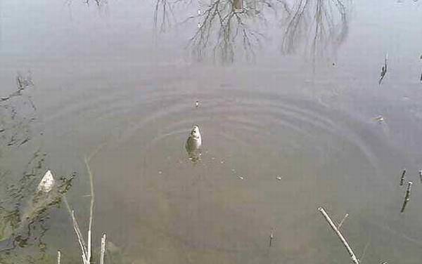 ����Ư��ȷ�ĵ�Ư����