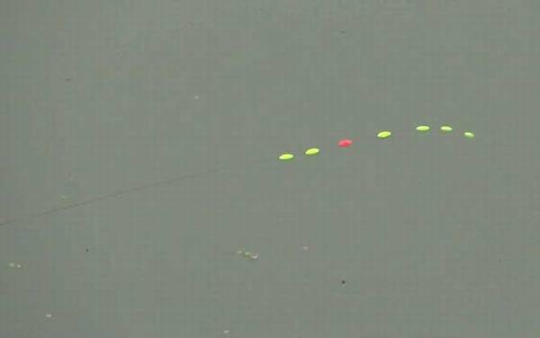 ����Ư��ȷ�ĵ�Ư����