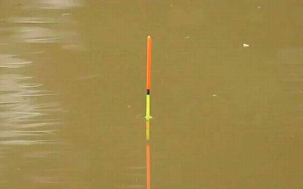 ����ʲôƯ���������ˣ�