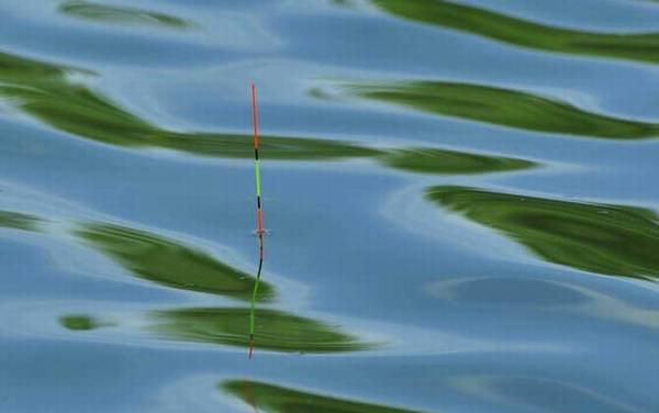 黑漂打不到鱼是怎么回事?