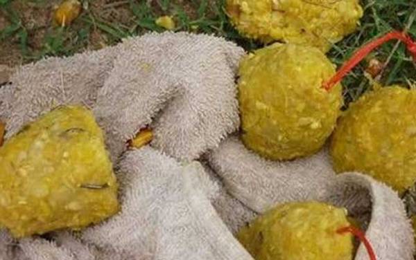 海竿爆炸钩线组图解,组装方法非常简单,最适合守钓大鱼!