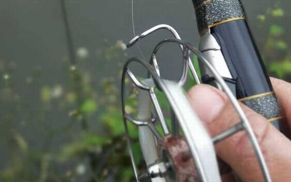 谷麦钓法一般用多长的竿?没有一定,但5.4米和6.3米最实用!