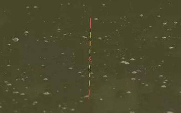 送漂不中鱼什么原因?原因非常多,最常见的是“小鱼闹窝”!