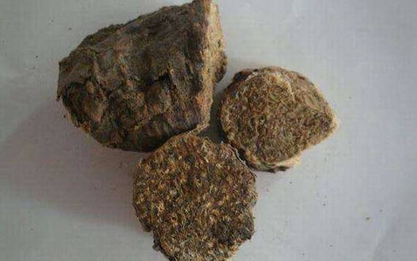 阿魏钓鱼真的有用吗?有一定的诱鱼效果,但千万不要过于迷信!