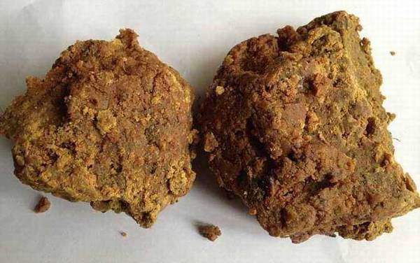 阿魏钓鱼真的有用吗?有一定的诱鱼效果,但千万不要过于迷信!