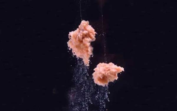 鱼饵_什么牌子好_排名第一的鱼饵_经典配方大全