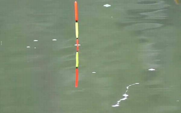 调漂_钓鱼调漂技巧_调几钓几最好_最快调漂方法