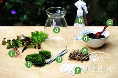 苔藓微景观制作教程——1.准备材料 苔藓微景观制作方法教程