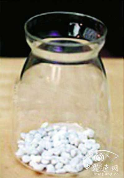 苔藓微景观制作教程——倒入轻石 苔藓微景观制作方法教程