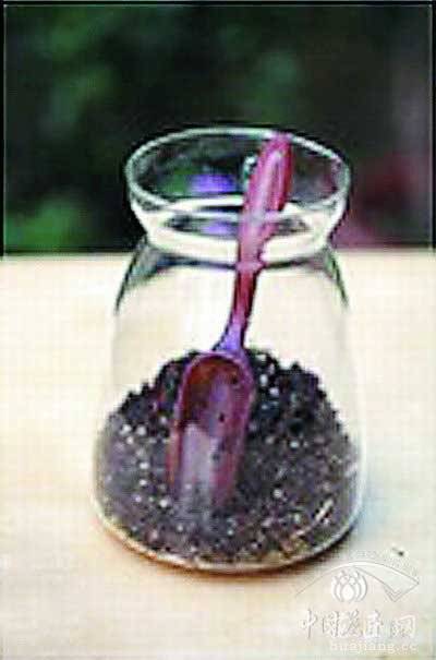 苔藓微景观制作教程——倒入培养基土 苔藓微景观制作方法教程