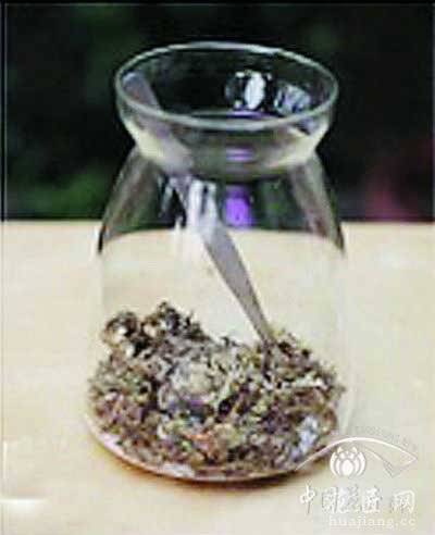 苔藓微景观制作教程——铺设水苔 苔藓微景观制作方法教程