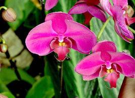 ����������_������õ�������������ֳ�����ͼ���