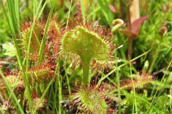 éƷִȫ֤8Ʒ_éƷִȫ