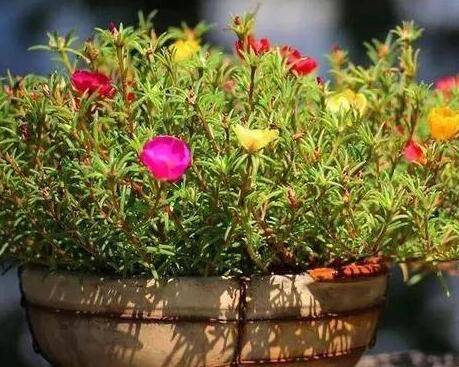 ����������̫���� ��������������