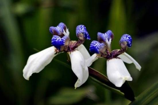 �����β����ֳ������ע������