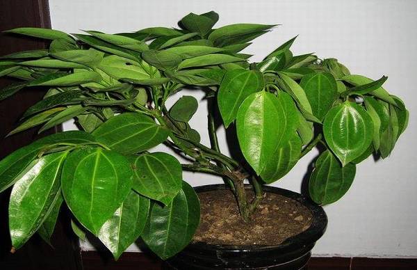 ƽ�������ļ�����ע�ص�����Ҫ��