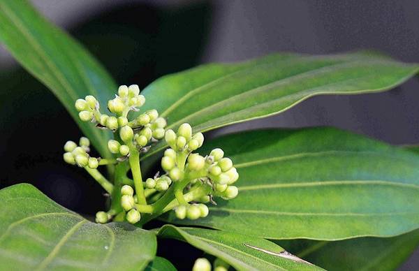 ƽ�������ļ�����ע�ص�����Ҫ��