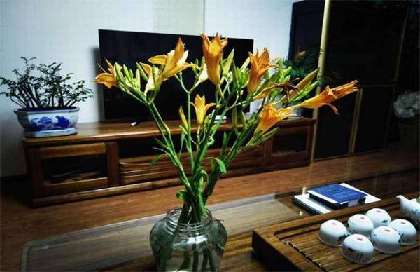 ���ǲݵ���ȷ��������