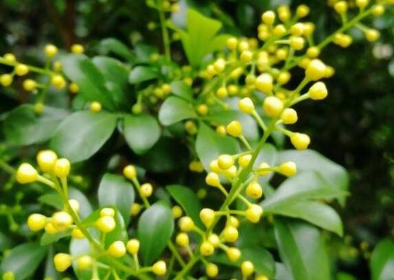 �����������������������