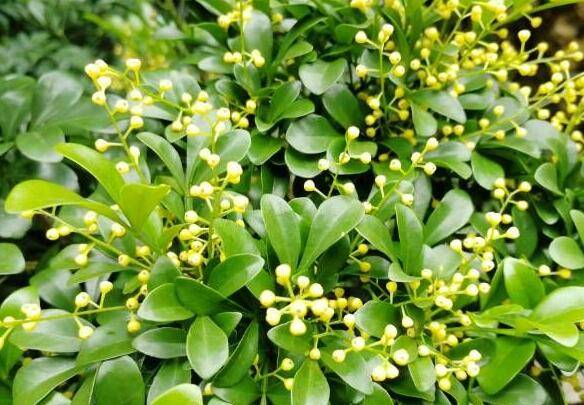 �����������������������