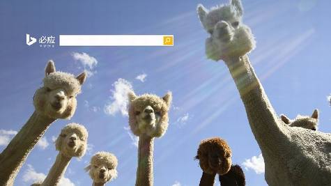 微软公布2013年必应搜索十大首页美图