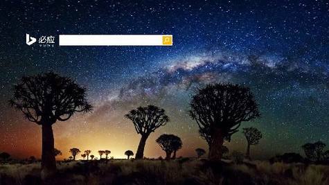 微软公布2013年必应搜索十大首页美图