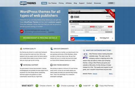 不用SEO也能创建好网站