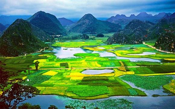 �Ŵ���ɫ���ų�