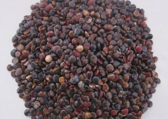 ���ص���ζ�ѹ����棨�ח���