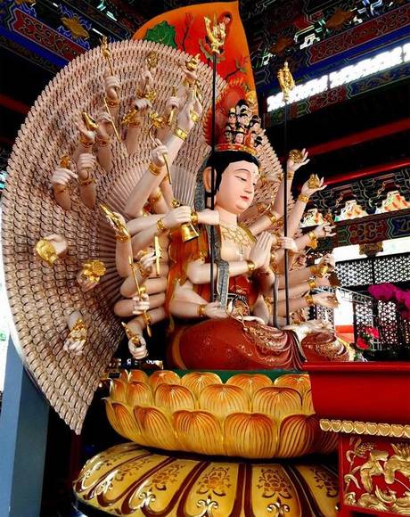 �㶫����˫����