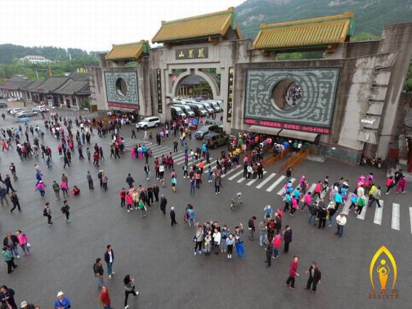 �����������ɽҩ������