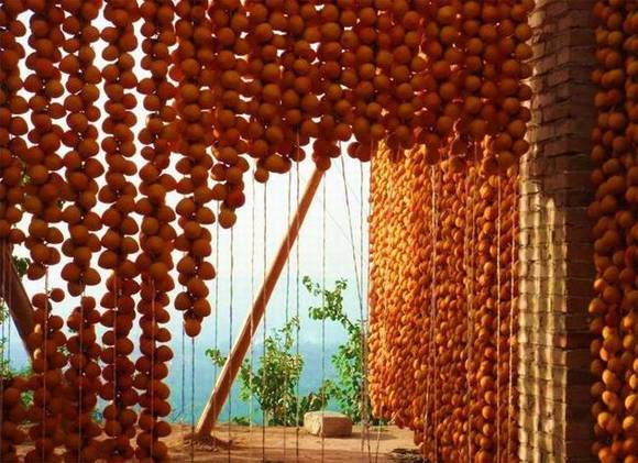 ������ƽ����������Ҷ���顱������