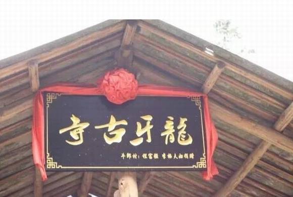 �����ҽ�������