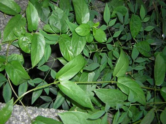 ��������������ϰ��