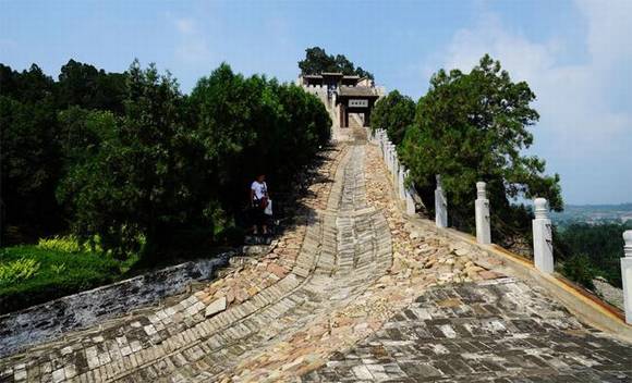 ��������˾��Ǩ��Ĺ