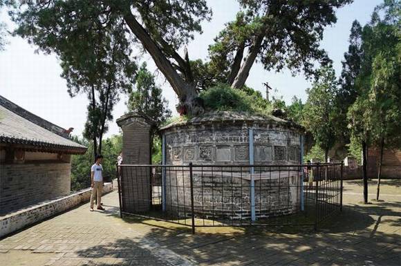 ��������˾��Ǩ��Ĺ