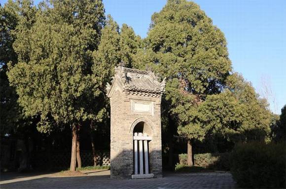 ���������ź⼰�ź�Ĺ