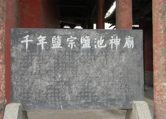 ɽ������˾����Ĺ